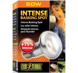 EXO TERRA Żarówka Intense Basking Spot 50W grzewcza punktowa UVA terrarium