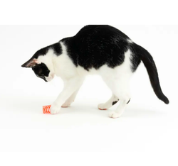 TIAKI Skaczące sprężynki zestaw 20 szt. spirale sprężyny zabawka dla kota