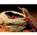 TERRA NATURA Miska na żywy pokarm robaki mączniki terrarium gadów płazów