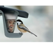 PROSPERPLAST Karmnik dla ptaków dzikich zimujących papugi Birdyfeed Double