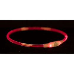 Obroża psa świecąca kolorowa LED Trixie 65 cm L-XL