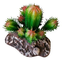REPTILE NOVA Kaktus Roślina sztuczna ozdoba dekoracja terrarium 10 cm