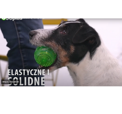 Piłka gumowa TPR piszcząca zabawka psa masuje dziąsła odbija się pływa 6 cm