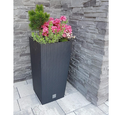 PROSPERPLAST Doniczka rattanowa wysoka czarna wkład mrozoodporna 40 x 75 cm