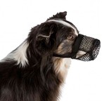 Kaganiec dla psa przeciw zjadaniu śmieci Trixie XL
