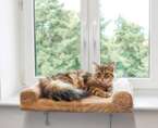 Legowisko łóżko kota na parapet okno Kerbl 56 cm