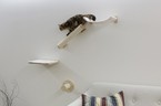 Zestaw hamak legowisko półka drapak dla kota na ścianę Alps KERBL 6kg