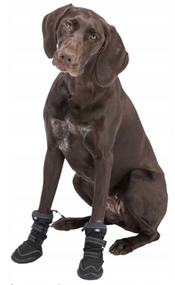 Buty ochronne wysokie buciki dla psa Trixie Walker Active Long 2 szt. XL