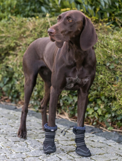 Buty ochronne wysokie buciki dla psa Trixie Walker Active Long 2 szt. XL