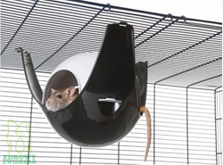 Domek dla szczura Sputnik XL Savic, fuksja-fiolet