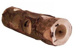 Drewniany tunel, zabawka dla chomika myszy 30 cm