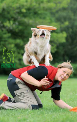 Frisbee dysk aport zabawka aportowania Trixie 23cm