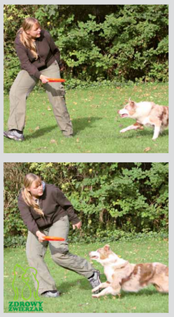 Frisbee dysk aport zabawka aportowania Trixie 23cm