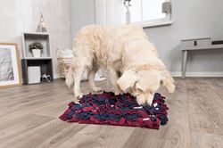 Gra dywan mata węchowa na przysmaki dla psa Trixie