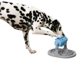 KERBL gra zabawka dla psa rolka na przysmaki miska spowalniająca jedzenie 