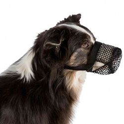 Kaganiec dla psa przeciw zjadaniu śmieci Trixie XS