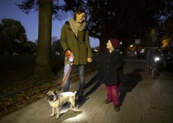 Lampka LED do smyczy Flexi dla psa
