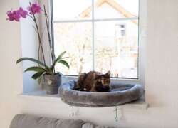 Legowisko łóżko kota na parapet okno Kerbl 55 cm