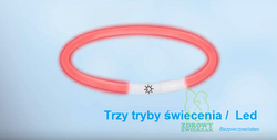 Obroża psa świecąca migająca LED Trixie 65 cm L-XL