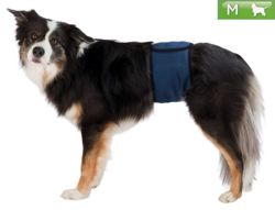 Pas, majtki ochronne dla psa samca Trixie M