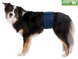 Pas, majtki ochronne dla psa samca Trixie S-M