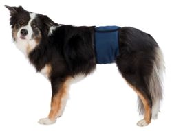 Pas, majtki ochronne dla psa samca Trixie XL