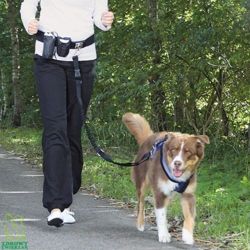 Pas + smycz dla psa do biegania, joggingu z psem L