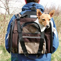 Plecak torba dla psa kota 8 kg transporter Trixie
