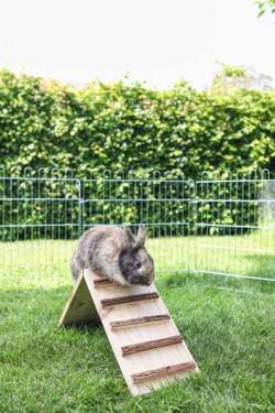 Pomost mostek rampa do klatki dla królika gryzoni 