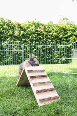 Pomost mostek rampa do klatki dla królika gryzoni 