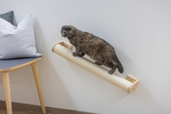 Słupek drapak na ścianę sizal dla kota Kerbl 8,5 x 77 cm