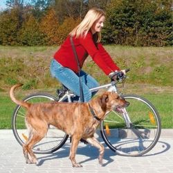 Smycz dla psa do biegania joggingu na rower z psem