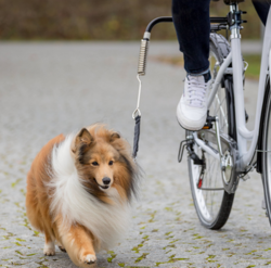 Smycz z wysięgnikiem do roweru dla psa Trixie