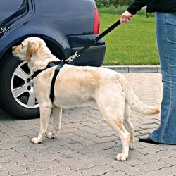 Szelki samochodowe, pasy bezpieczeństwa dla psa M