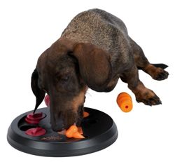 Trixie Flip Board gra zabawka edukacyjna na przysmaki dla psa 