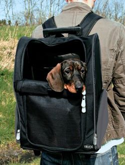 Trixie torba plecak transporter kółka dla psa kota