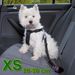Szelki samochodowe, pasy bezpieczeństwa dla psa XS